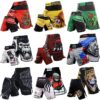 Jiu-Jitsu Fight Wear MMA Shorts